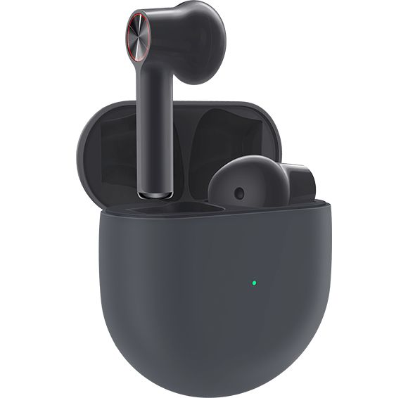 OnePlus Buds Black with Case